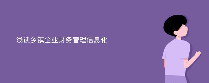 浅谈乡镇企业财务管理信息化