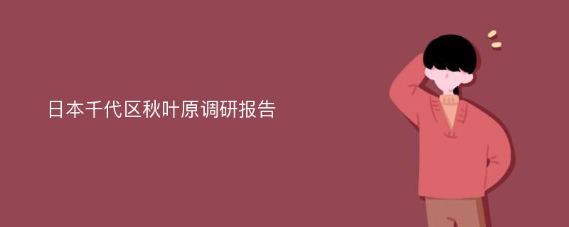 日本千代区秋叶原调研报告