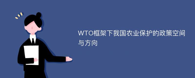 WTO框架下我国农业保护的政策空间与方向