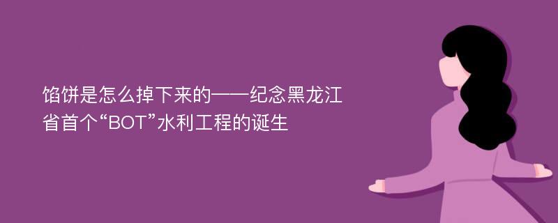 馅饼是怎么掉下来的——纪念黑龙江省首个“BOT”水利工程的诞生