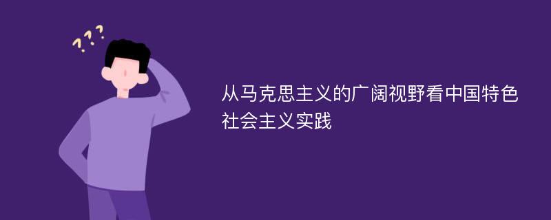 从马克思主义的广阔视野看中国特色社会主义实践