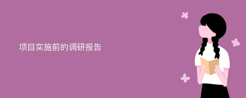 项目实施前的调研报告