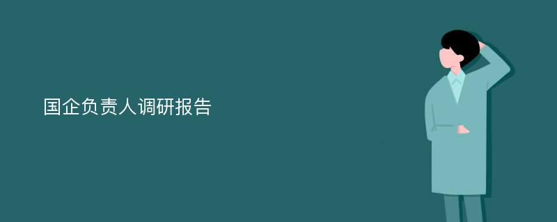 国企负责人调研报告